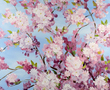 Kunstwerk SPRING BLOSSOM