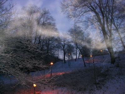 landscape landscape