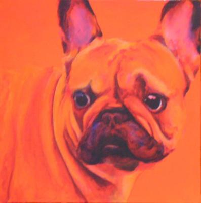 Oranje Bulldog Oranje Bulldog
