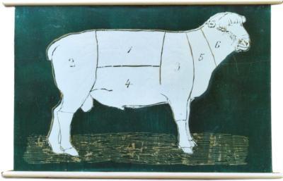 Schaap groen. Schaap groen.