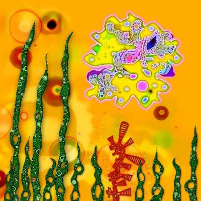Solar Flower Burst 4 Solar Flower Burst 4