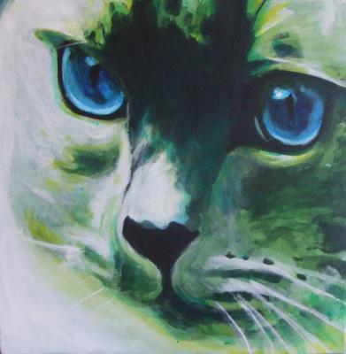 Groene Kat Groene Kat
