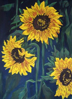 zonnebloemen zonnebloemen