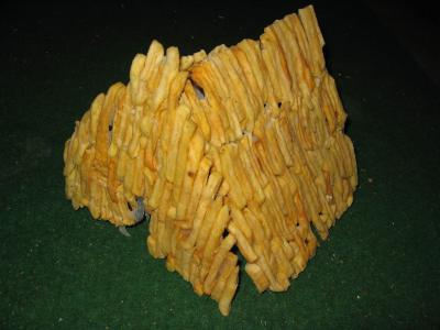 friettent friettent