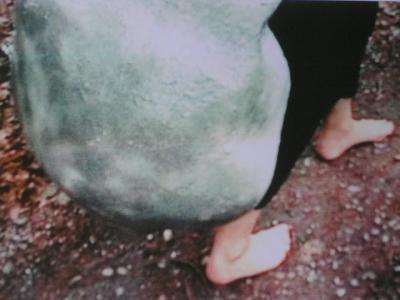 cocoon cocoon