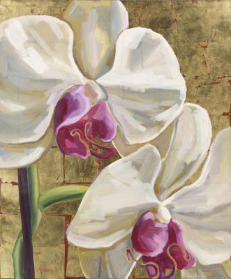 Orchidea oro Orchidea oro