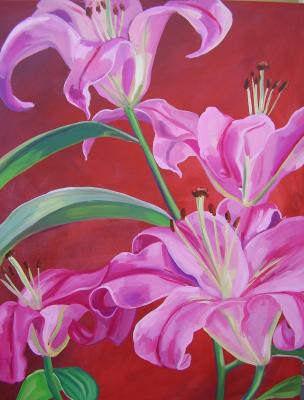 Red lilium Red lilium