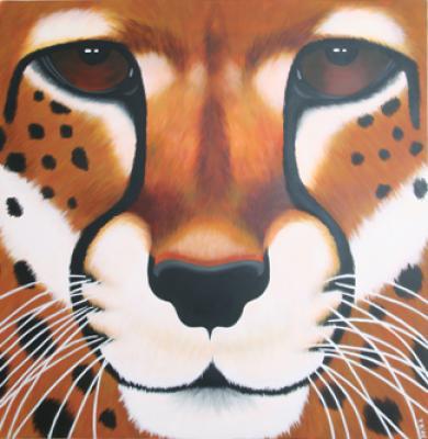 Cheetah Cheetah