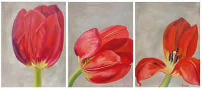 tulipani tulipani