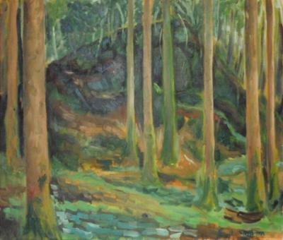 Forest, Ierland Forest, Ierland