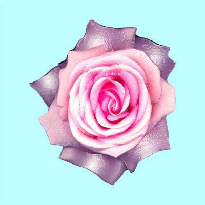 rose blue rose blue