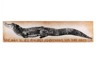 Krokodil Krokodil