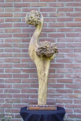 Vreemde vogel Vreemde vogel
