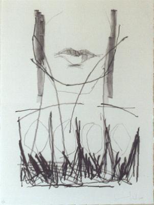 Litho2 Litho2