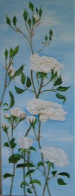 Bloemen: Witte klimroos Bloemen: Witte klimroos