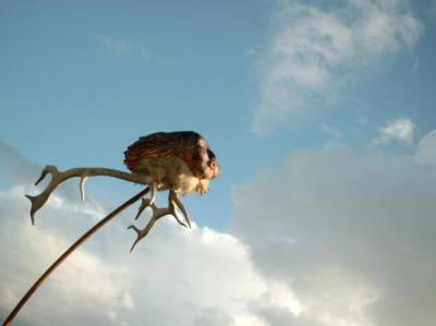 oostenwind oostenwind