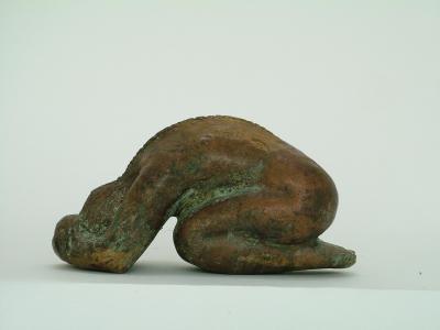 ruggegraat ruggegraat