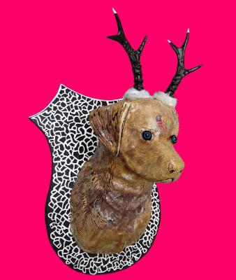 Trofee hond Trofee hond