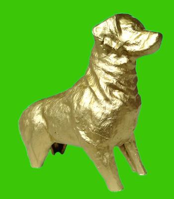 Gouden hond Gouden hond