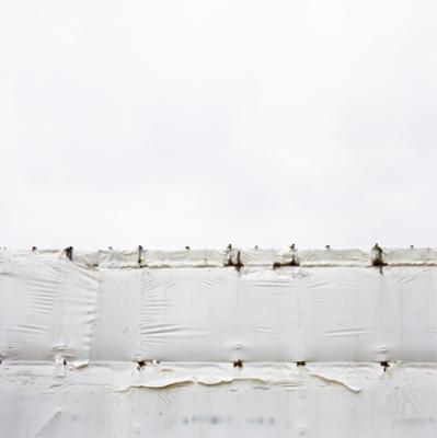white white