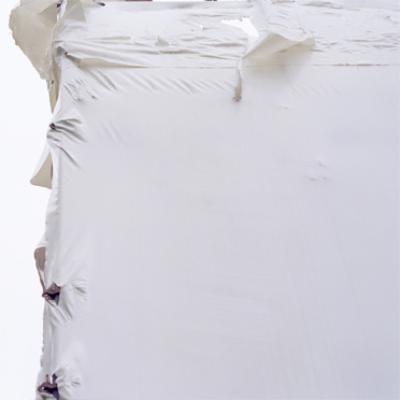 white white