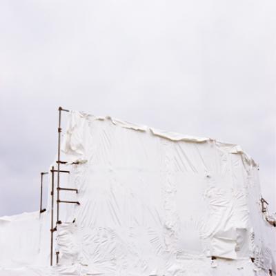 white white