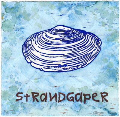 Strandgaper Strandgaper