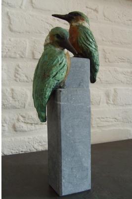 IJsvogels IJsvogels