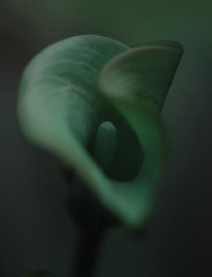 5917 5917