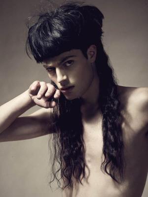 arabian prince 4 arabian prince 4
