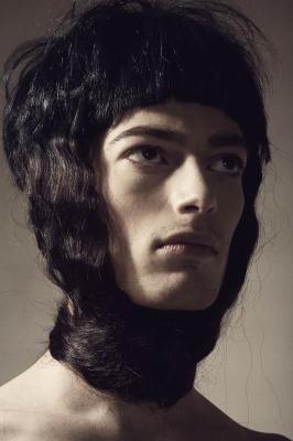 arabian prince 5 arabian prince 5