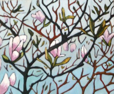 magnolia magnolia