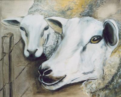 TWEE SLOME SCHAPEN TWEE SLOME SCHAPEN