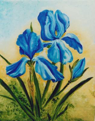 BLAUWE IRISSEN BLAUWE IRISSEN