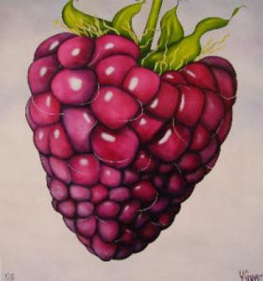 Framboos Framboos