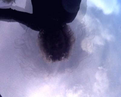 re_flection re_flection
