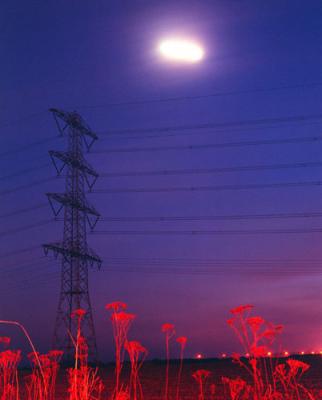 electric electric