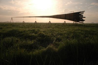 Rijnhoorn Rijnhoorn