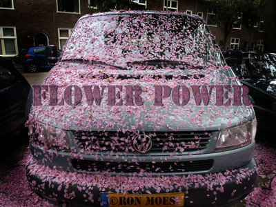 FlowerPower FlowerPower