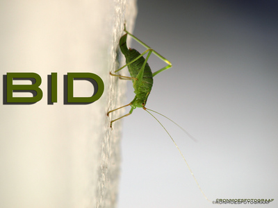 BID, sprinkhaan BID, sprinkhaan