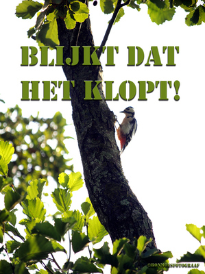 Klopt Klopt