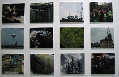 Utility Nature Utility Nature