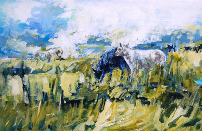 schapen schapen