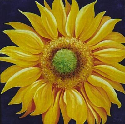 SUNNY FLOWER SUNNY FLOWER