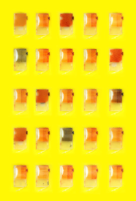 portraits of yellow 10001 portraits of yellow 10001