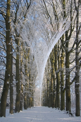 de kathedraal (winter) de kathedraal (winter)
