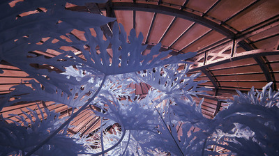 Hortus 00165 Hortus 00165