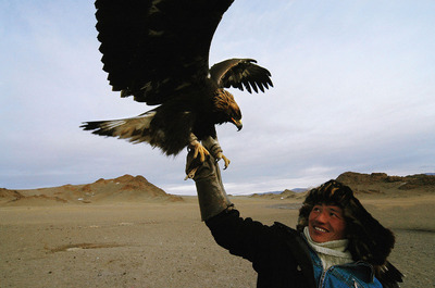 Bayan Ulgii eagle Bayan Ulgii eagle