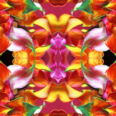 Seire Flowers Power: Fire Heart Seire Flowers Power: Fire Heart