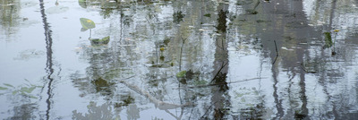 Spiegelingen III Spiegelingen III